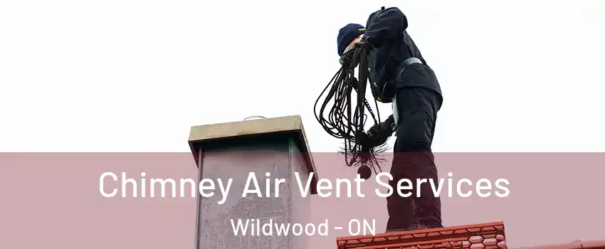 Chimney Air Vent Services Wildwood - ON