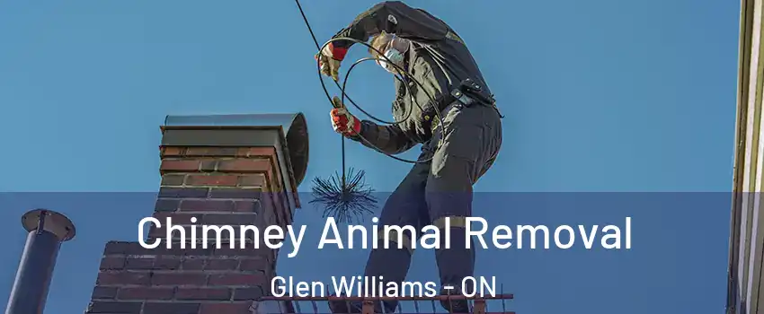  Chimney Animal Removal Glen Williams - ON