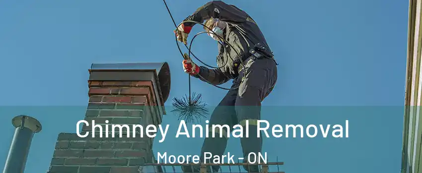  Chimney Animal Removal Moore Park - ON