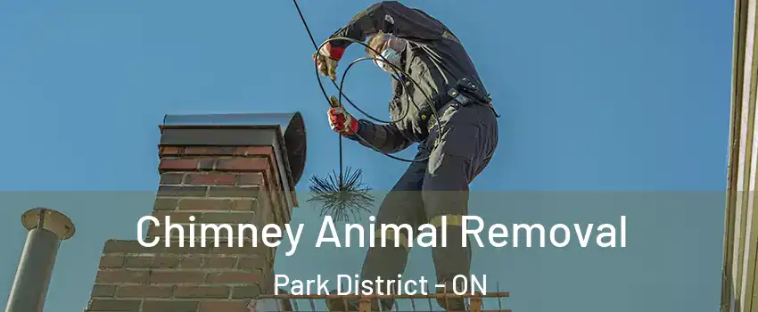 Chimney Animal Removal Park District - ON