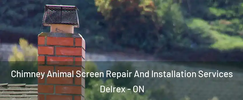  Chimney Animal Screen Repair And Installation Services Delrex - ON