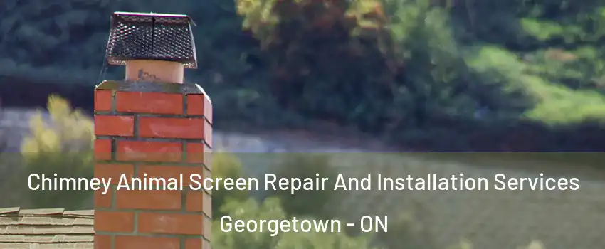  Chimney Animal Screen Repair And Installation Services Georgetown - ON
