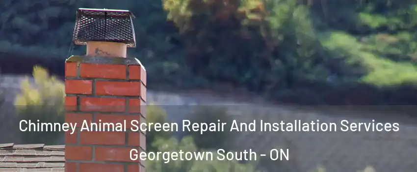  Chimney Animal Screen Repair And Installation Services Georgetown South - ON