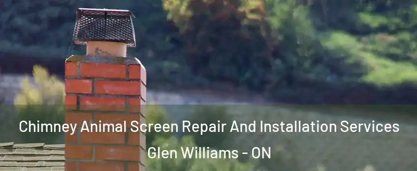  Chimney Animal Screen Repair And Installation Services Glen Williams - ON