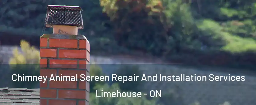  Chimney Animal Screen Repair And Installation Services Limehouse - ON
