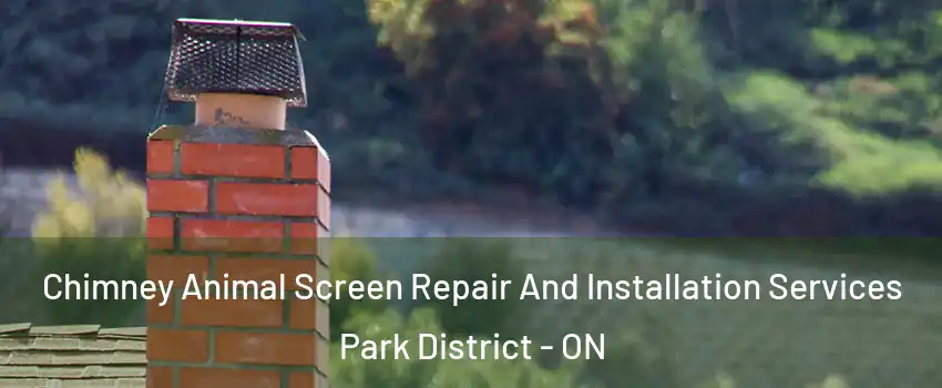  Chimney Animal Screen Repair And Installation Services Park District - ON