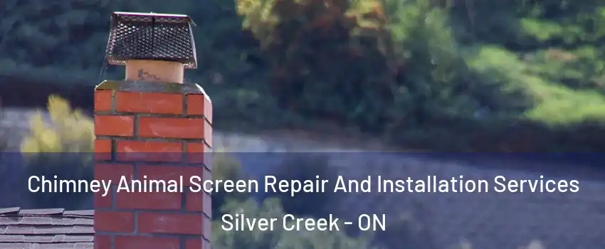 Chimney Animal Screen Repair And Installation Services Silver Creek - ON