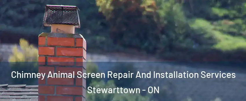 Chimney Animal Screen Repair And Installation Services Stewarttown - ON