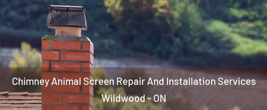 Chimney Animal Screen Repair And Installation Services Wildwood - ON