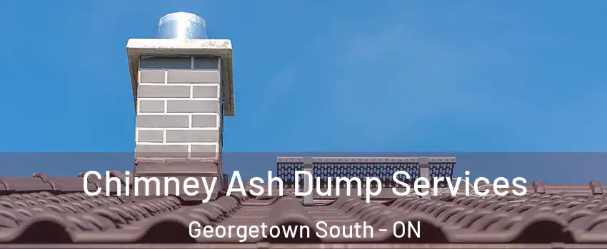 Chimney Ash Dump Services Georgetown South - ON