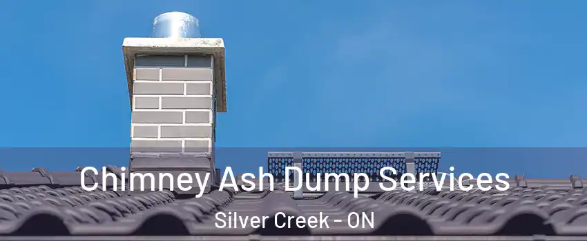 Chimney Ash Dump Services Silver Creek - ON