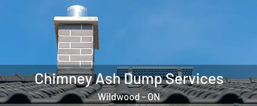  Chimney Ash Dump Services Wildwood - ON