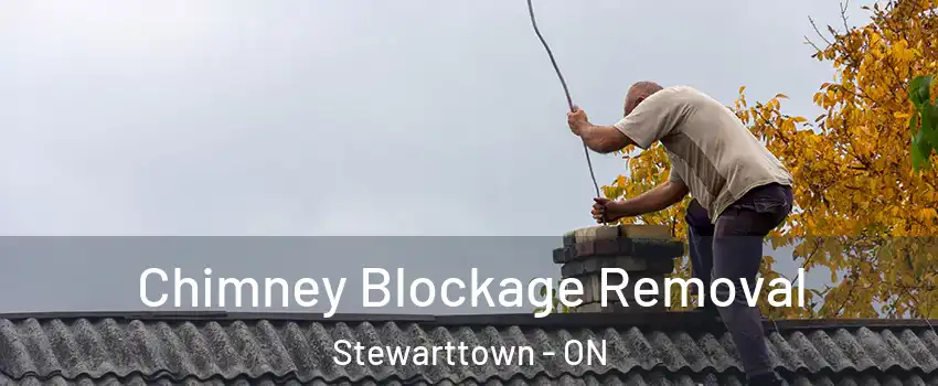 Chimney Blockage Removal Stewarttown - ON
