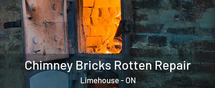 Chimney Bricks Rotten Repair Limehouse - ON