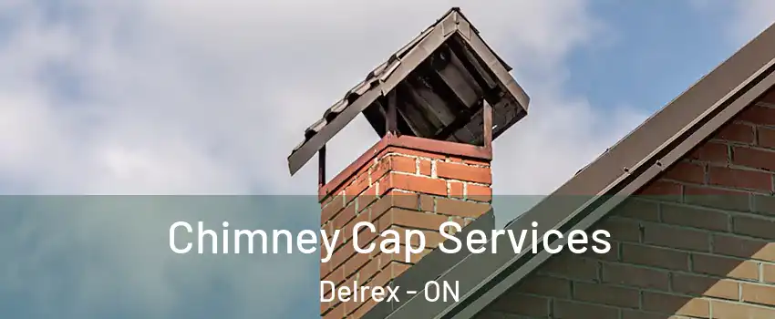 Chimney Cap Services Delrex - ON