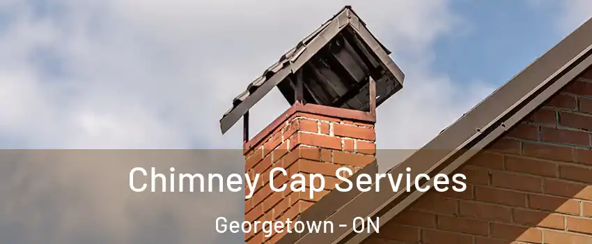 Chimney Cap Services Georgetown - ON