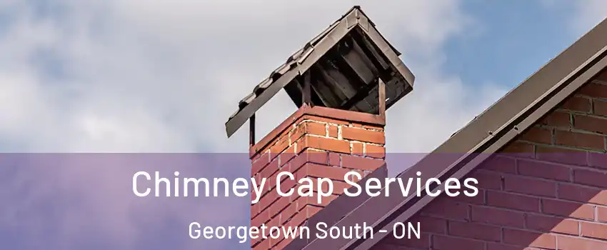 Chimney Cap Services Georgetown South - ON