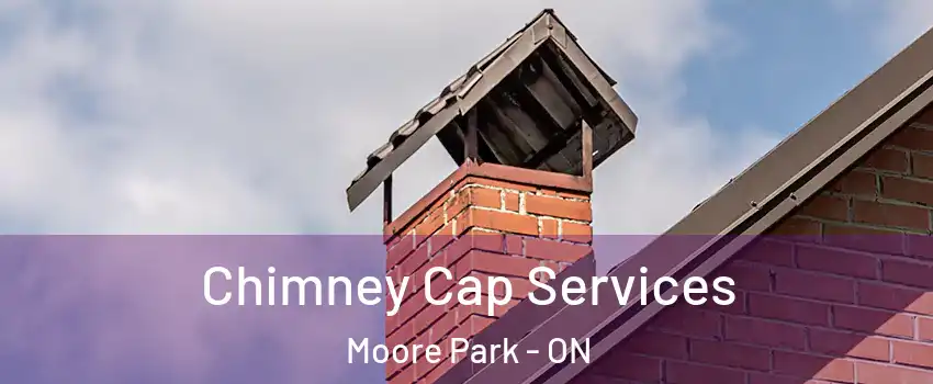  Chimney Cap Services Moore Park - ON