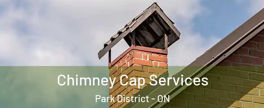 Chimney Cap Services Park District - ON