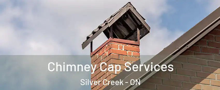 Chimney Cap Services Silver Creek - ON