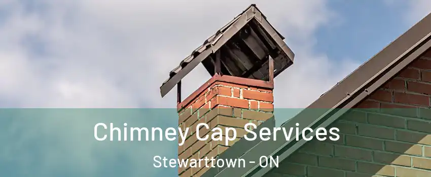 Chimney Cap Services Stewarttown - ON