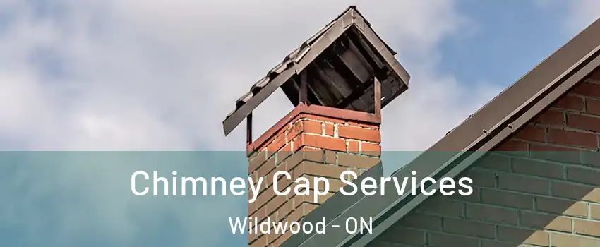  Chimney Cap Services Wildwood - ON