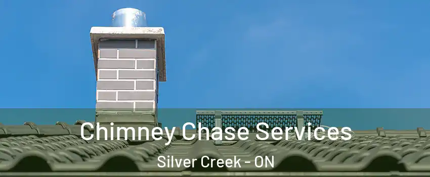 Chimney Chase Services Silver Creek - ON