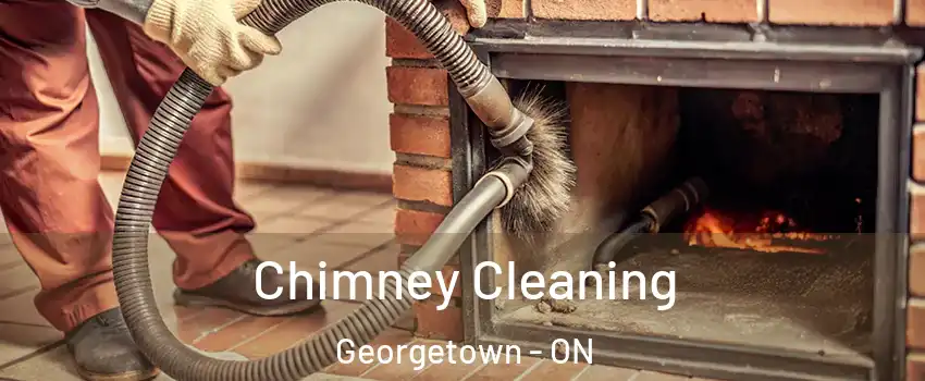  Chimney Cleaning Georgetown - ON