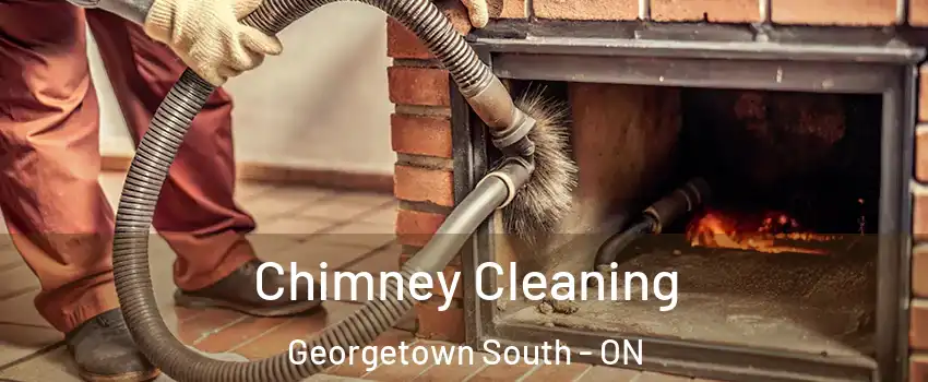 Chimney Cleaning Georgetown South - ON