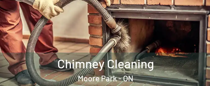 Chimney Cleaning Moore Park - ON