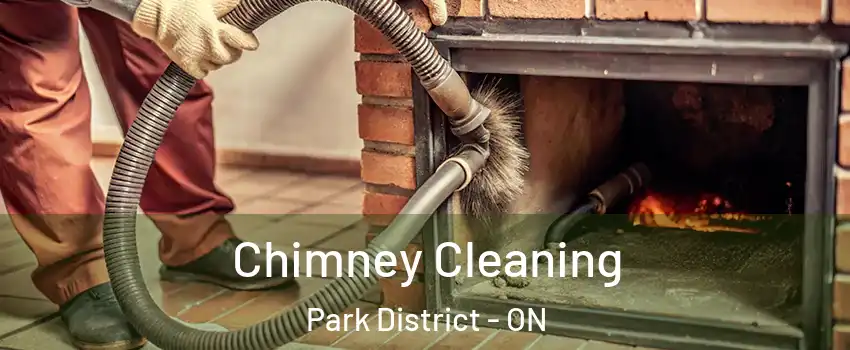  Chimney Cleaning Park District - ON