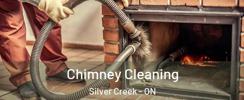  Chimney Cleaning Silver Creek - ON