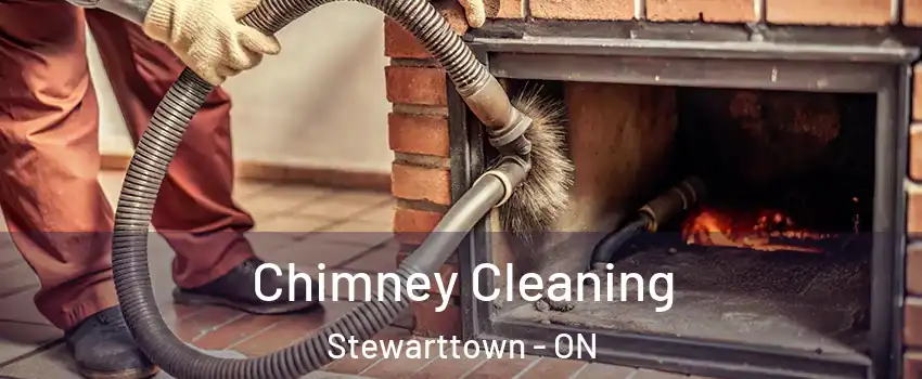  Chimney Cleaning Stewarttown - ON