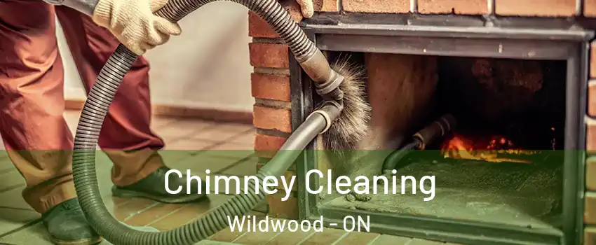 Chimney Cleaning Wildwood - ON
