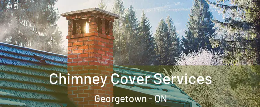 Chimney Cover Services Georgetown - ON