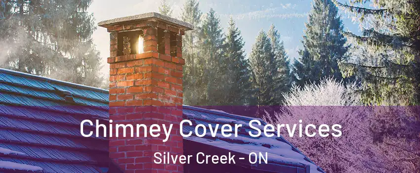 Chimney Cover Services Silver Creek - ON