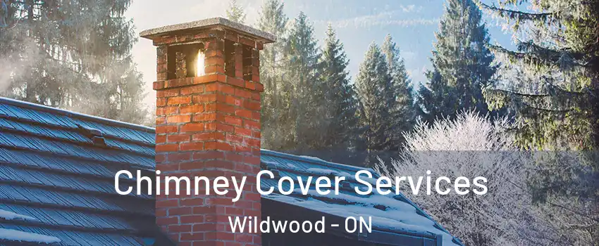 Chimney Cover Services Wildwood - ON