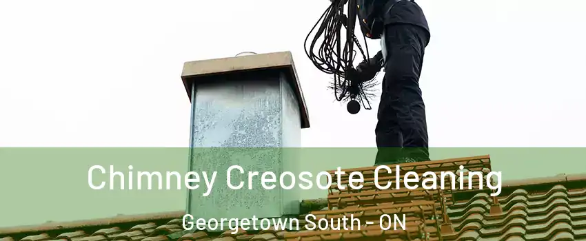 Chimney Creosote Cleaning Georgetown South - ON