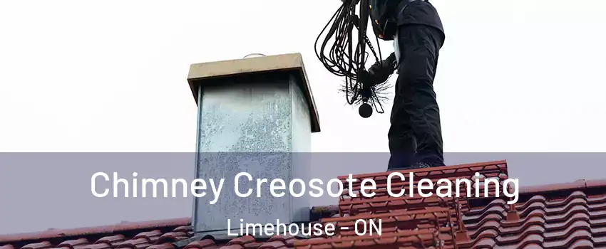 Chimney Creosote Cleaning Limehouse - ON
