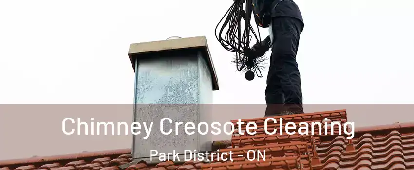 Chimney Creosote Cleaning Park District - ON