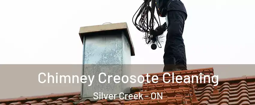 Chimney Creosote Cleaning Silver Creek - ON