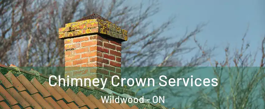 Chimney Crown Services Wildwood - ON