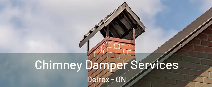 Chimney Damper Services Delrex - ON