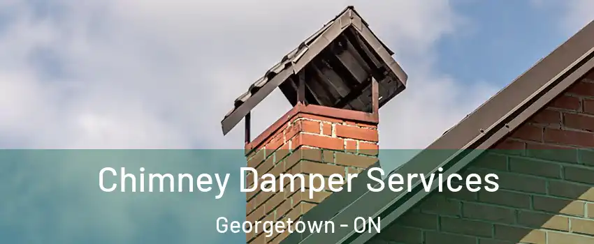 Chimney Damper Services Georgetown - ON