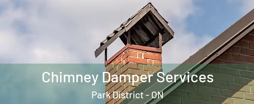 Chimney Damper Services Park District - ON