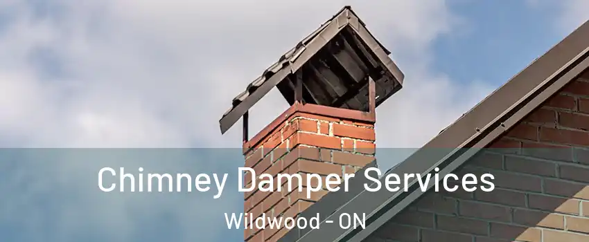  Chimney Damper Services Wildwood - ON