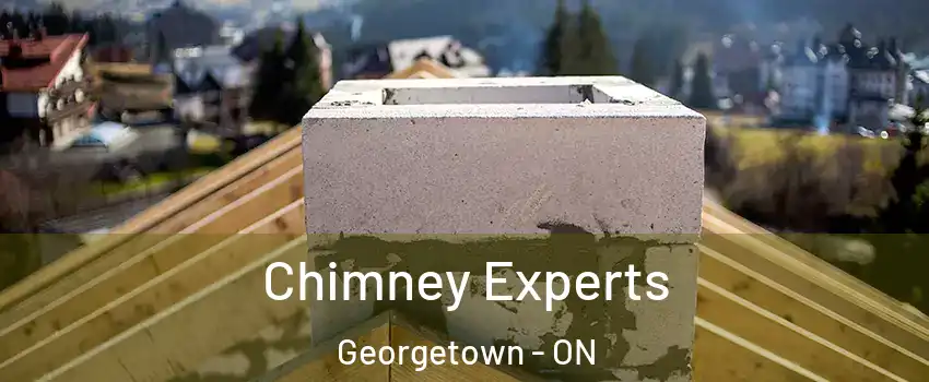 Chimney Experts Georgetown - ON