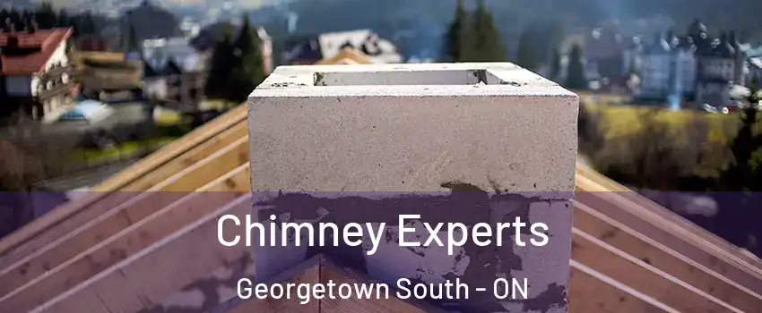  Chimney Experts Georgetown South - ON