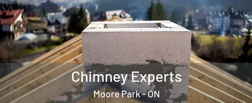 Chimney Experts Moore Park - ON