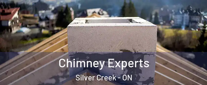 Chimney Experts Silver Creek - ON